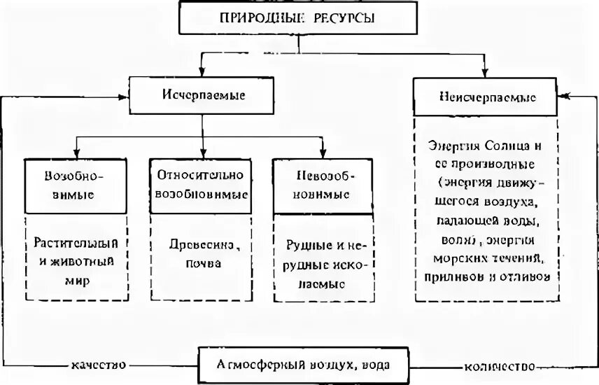 Схема природные богатства Архангельской области 4 класс. Схема природные богатства Архангельской области. Схема природных ресурсов. Природные ресурсы схема. Прочитай текст заполни схему природные богатства