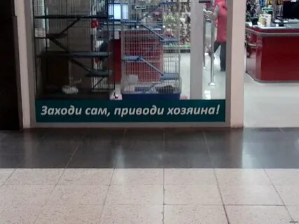 Зайди сама