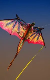 Go fly s
