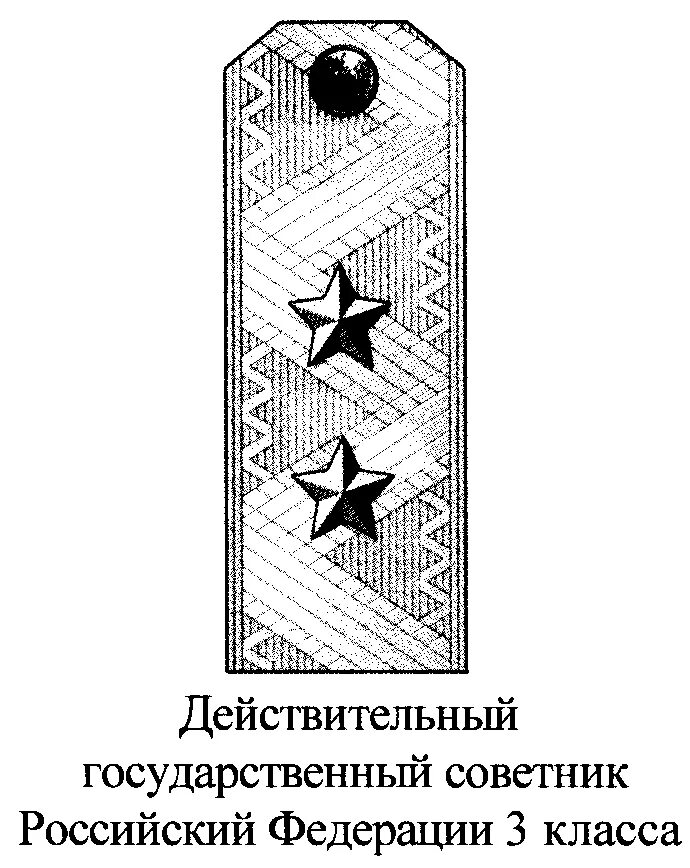 Советник государственной гражданской погоны. Погон государственного советника РФ 1 класса. Государственный советник 2 класса погоны. Действительный государственный советник 2 класса. Форма действительного государственного советника 3 класса.