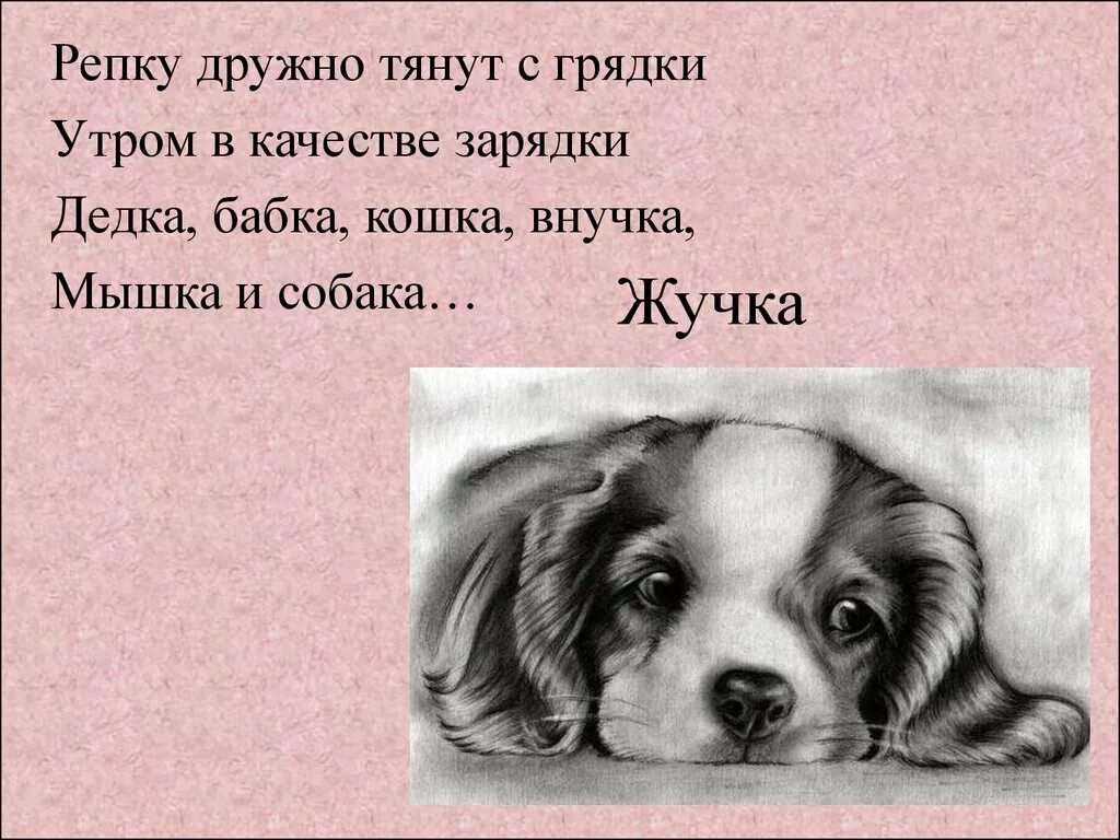 Баба жучка. Собачка жучка предложения. наша жучка. жучка рассказ. собака жучка рассказ.
