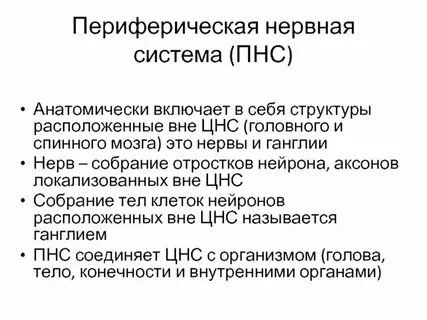 Периферическая пульсация
