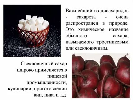 Биологическая роль дисахаридов