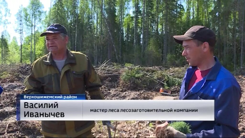 Верхошижемье кировская. Верхошижемье. Верхошижемье. Верхошижемье лыжная трасса. Погода верхошижемье кировская область по часам.