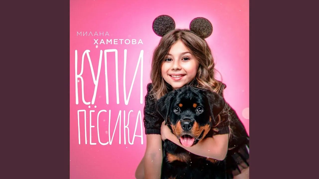 Мальтипу спаниель. Стих про собаку. Померанский шпиц. Купите мне песика с маленьким. Глаза шпица.