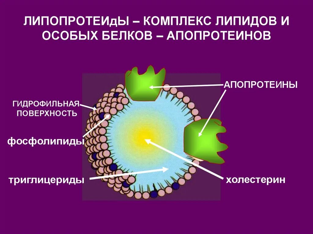 Лпвп это хороший