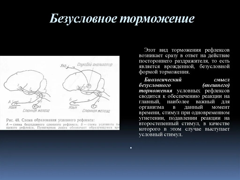 Безусловный внешний рефлекс. Безусловное торможение условных рефлексов. Торможение рефлексов схема. Торможение условных рефлексов схема. Рефлексы условные и безусловные схема.