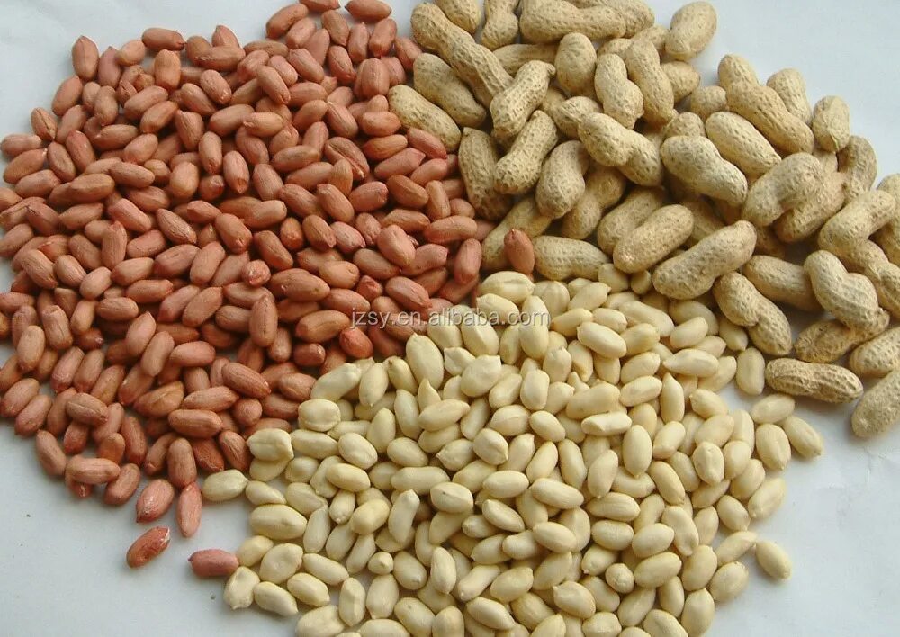 Орехи арахис. Соя и арахис. Соя и арахис. Арахис текстура. Арахис боб.