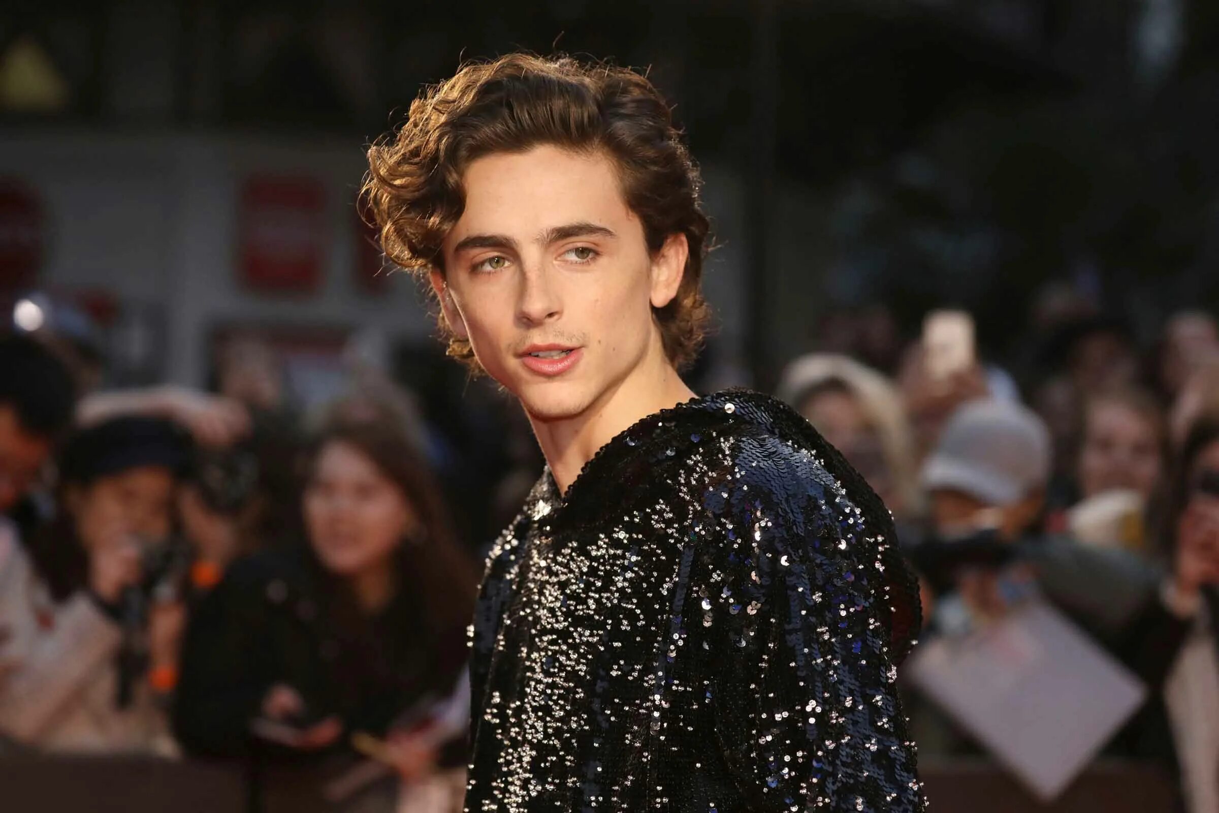 Тимоти Шаламе. Тимоти Шаламе Timothée Chalamet. Леди бёрд Тимоти Шаламе. Тимоти Шаламе 2022. Тимоти шаламе отношения