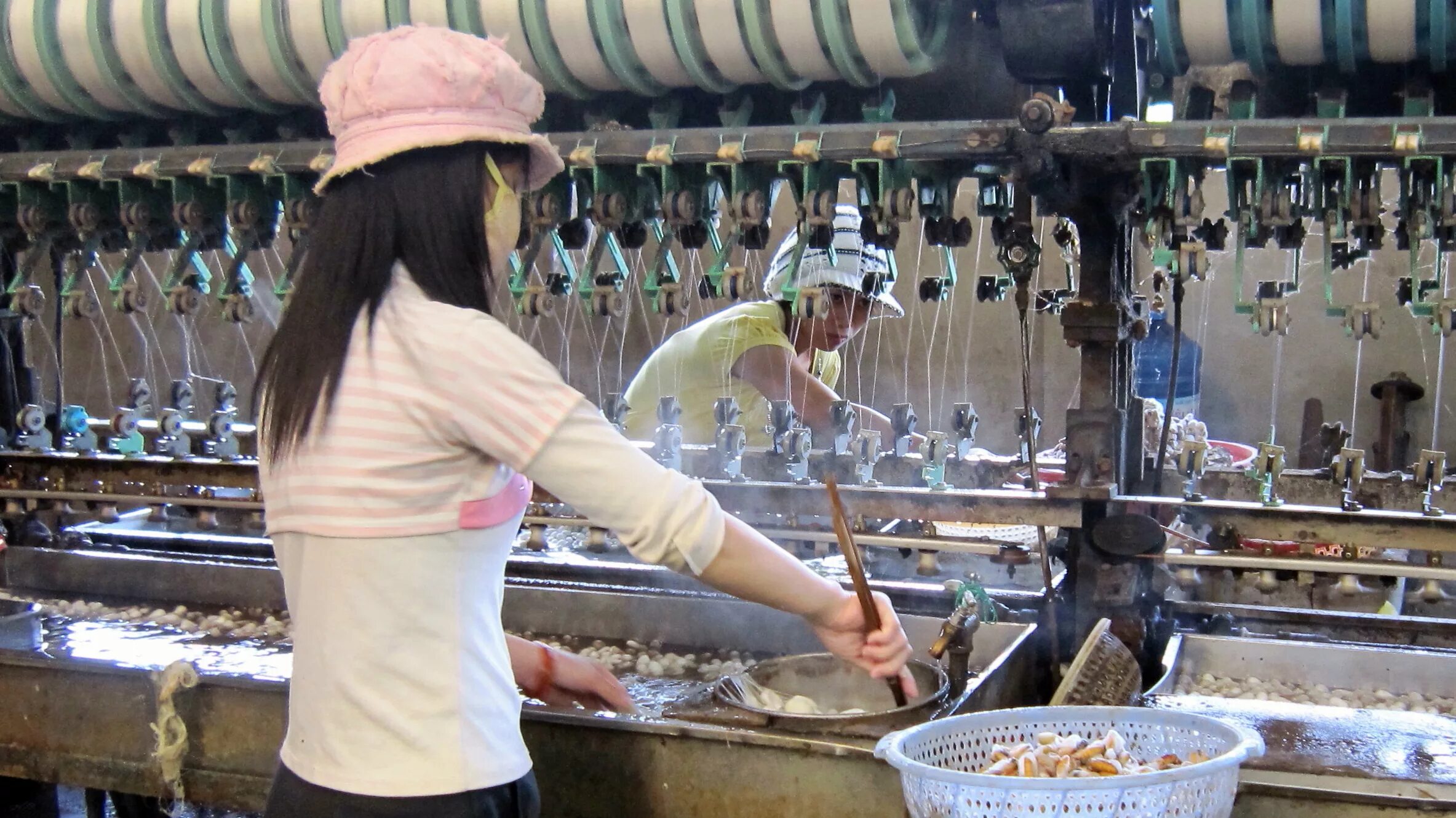 Тутовый шелкопряд кокон производство шелка. Производители шелка. Шелковая промышленность. Производство шелка. Производители шелка.