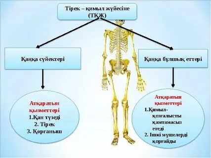 Прокурор Наташа жапондық порно