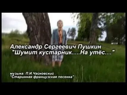 Шумит кустарник пушкин стихотворение