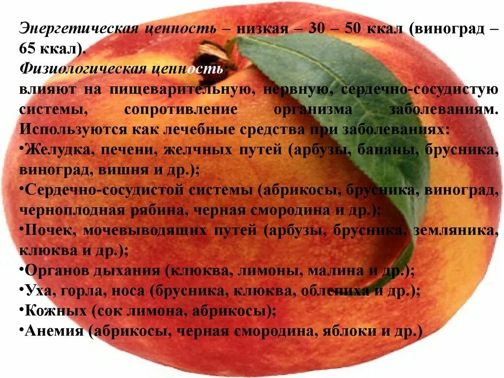 Физиологическая ценность продуктов. Ценность яблока. энергетическая ценность яблока. ценность яблони. энерг ценность яблока.