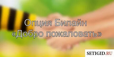 Билайн тариф добро