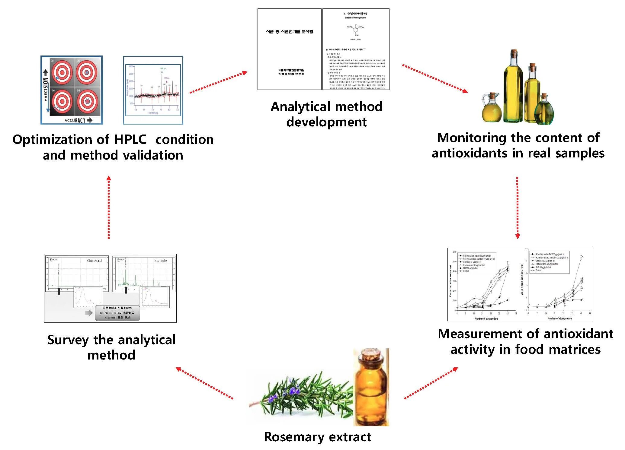 Analytical method. Antioxidant activity. analytical method validation. analysis methods. quantity hplc method.