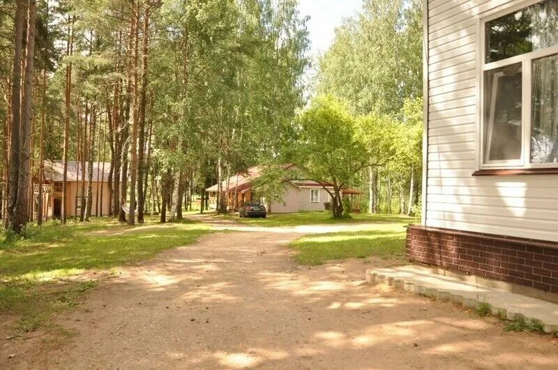 экопарк почвино вышневолоцкий район. эко парк вышний волочек почвино. эко парк пушкино тверь. эко парк пушкино тверь. эко парк вышний волочек.