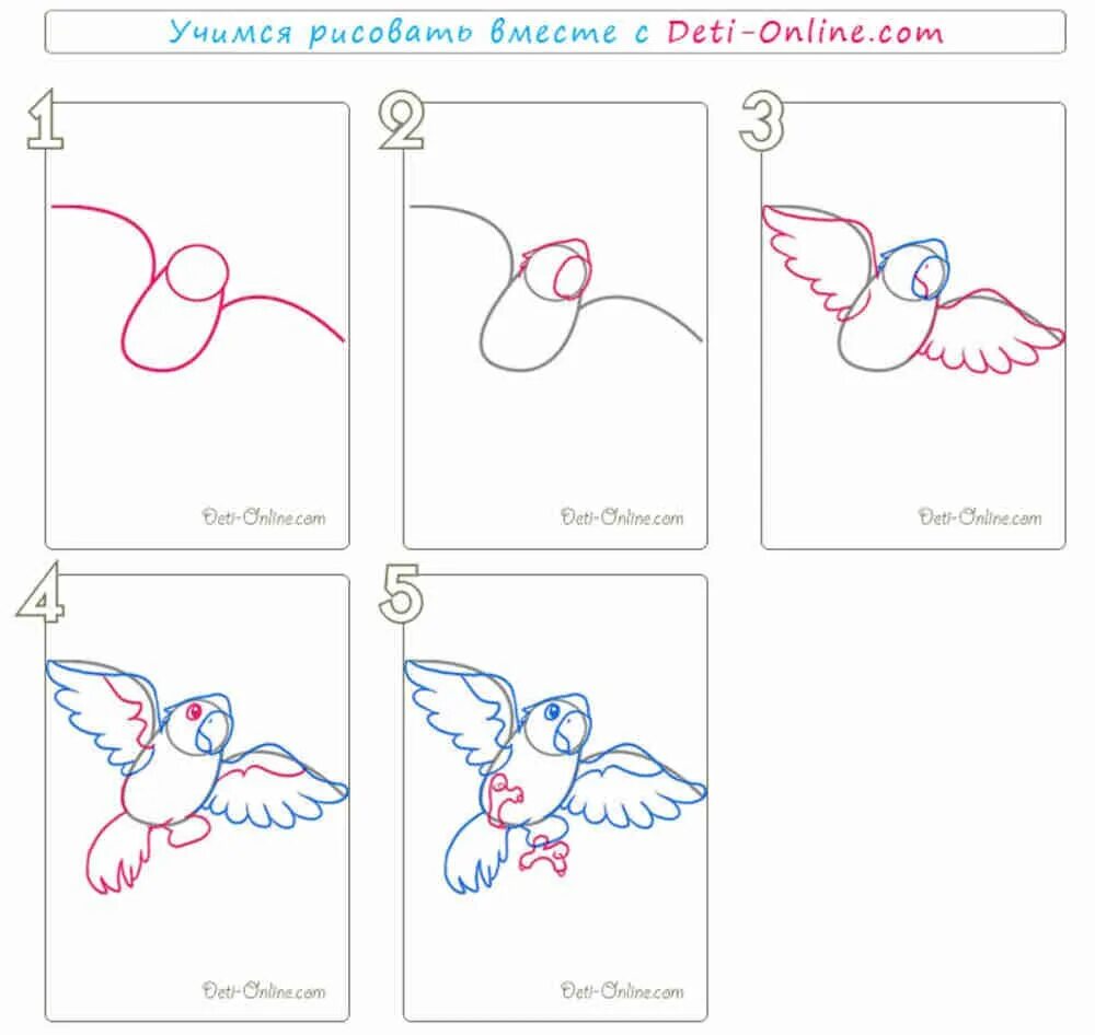 Рисунки пошагово. Как нарисовать попугая поэтапно. Рисунки карандашом для начинающих. Как нарисовать попугая поэтап. Рисование для начинающих схемы