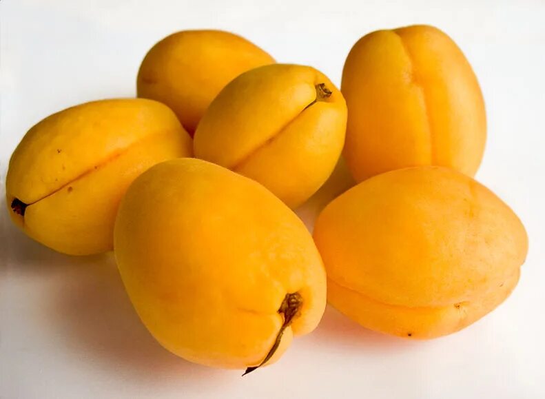 Абрикос сорт шалах. Абрикос голд рич. Абрикос шалах. Абрикос сорт ананасный. Сорт абрикосов шалах.