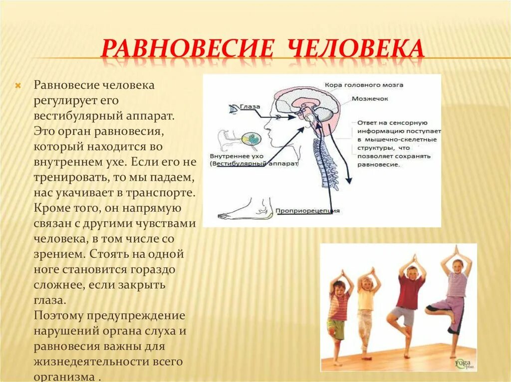 Упражнения для тренировки вестибулярного аппарата и координации. Равновесие тела человека. Упражнения для вестибулярного аппарата. Упражнения на равновесие. Мышечная моторика