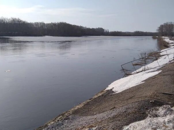 Уровень реки белой в салавате