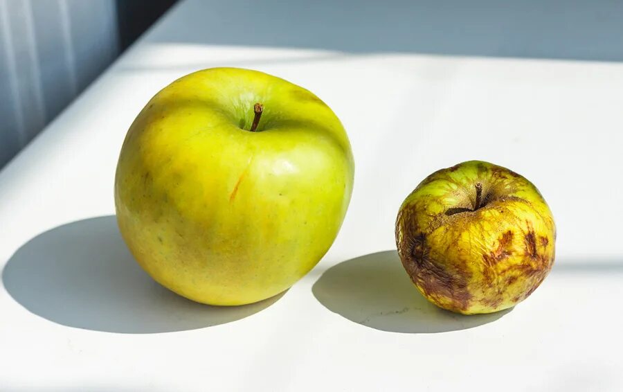 Яблоко в 2 месяца. Яблоко 2. Вес одного яблока. Двойное яблочко. 1 Яблоко 2 яблока.