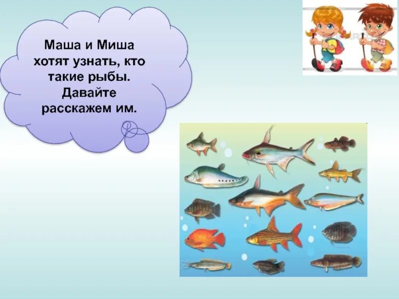 Кто такие рыбы 1 класс окружающий мир. Кто такие рыбы. Кто такие рыбы 1 класс школа России. Урок по окружающему миру кто такие рыбы 1 класс.