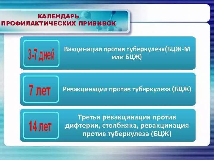 Схема вакцинации против туберкулеза. Вакцина туберкулезная БЦЖ сроки. Вакцинация туберкулеза схема. Схема вакцины от туберкулеза.