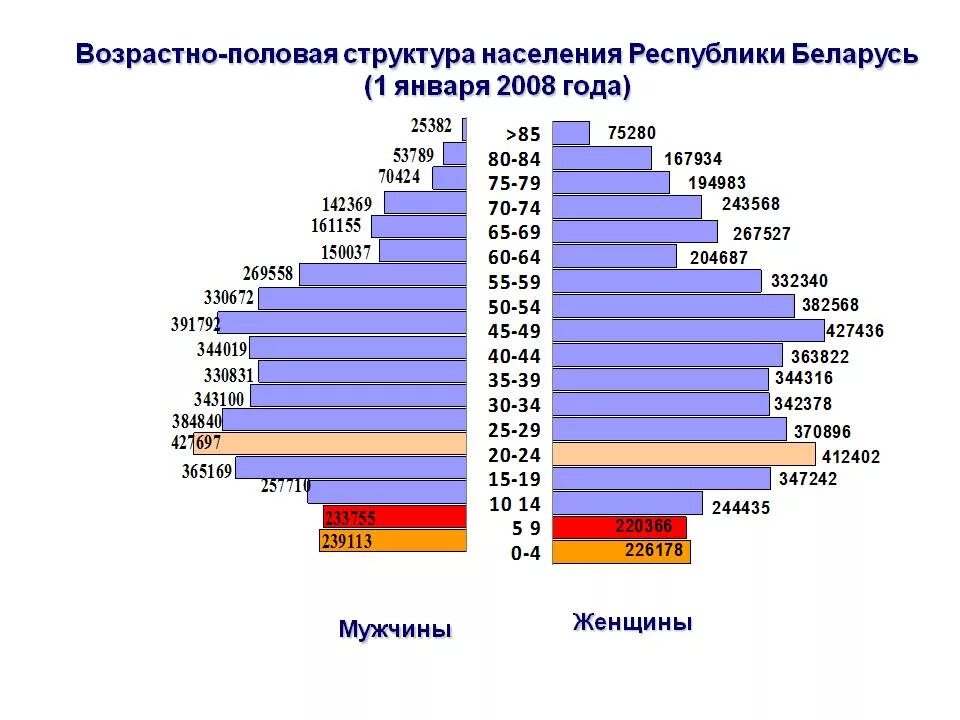 Возрастная диаграмма. Половозрастная структура населения Беларуси. Структура населения Белоруссии. Возрастная структура населения Белоруссии. Распределение населения Белоруссии по возрасту.