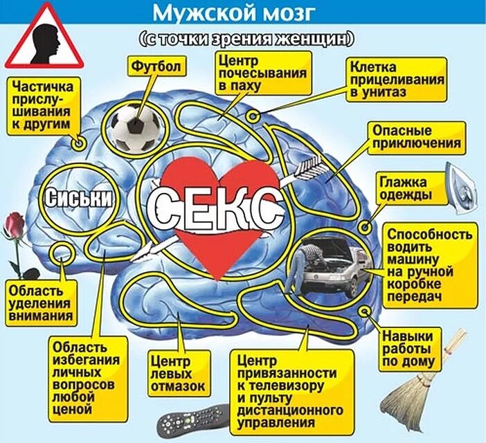 Простая и понятная схема женской логики. Как работает мозг женщины. Женский мозг прикол. Мужской и женский мозг. Как работает мозг женщины.
