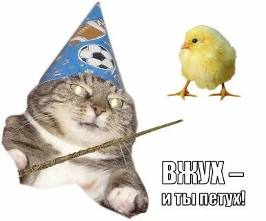 Вжух и ты петух