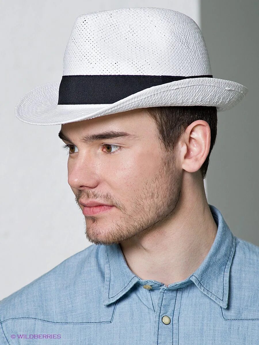 Шляпа мужская. Шляпы мужские классические. Головной убор шляпа мужская. Мужчина в шляпе. Летний мужской головной
