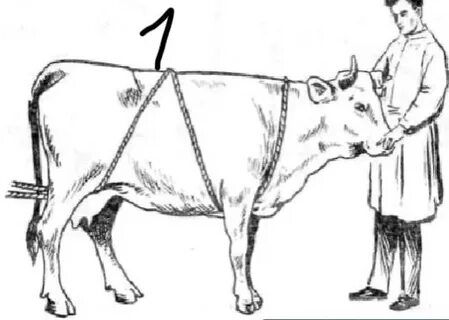 Способ гесса