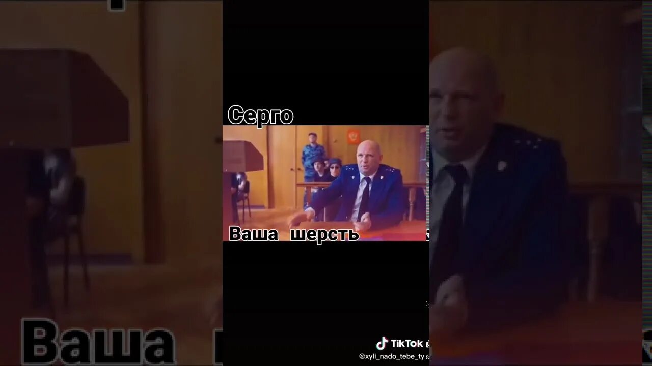 Ваша шерсть. Серго в суде. Серго адвокат. Каха ваша шерсть.