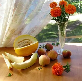 Дыня утром