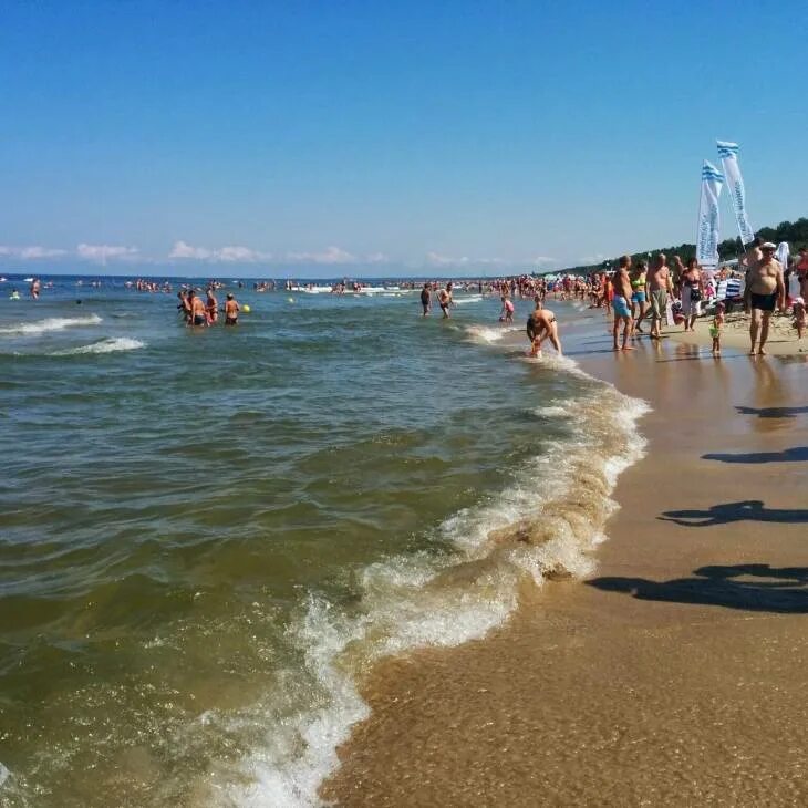 Калининград море. Курорт на балтийском море. Курорт рюген балтийском море. Балтийское море зеленоградск. Курорт на балтийском море.