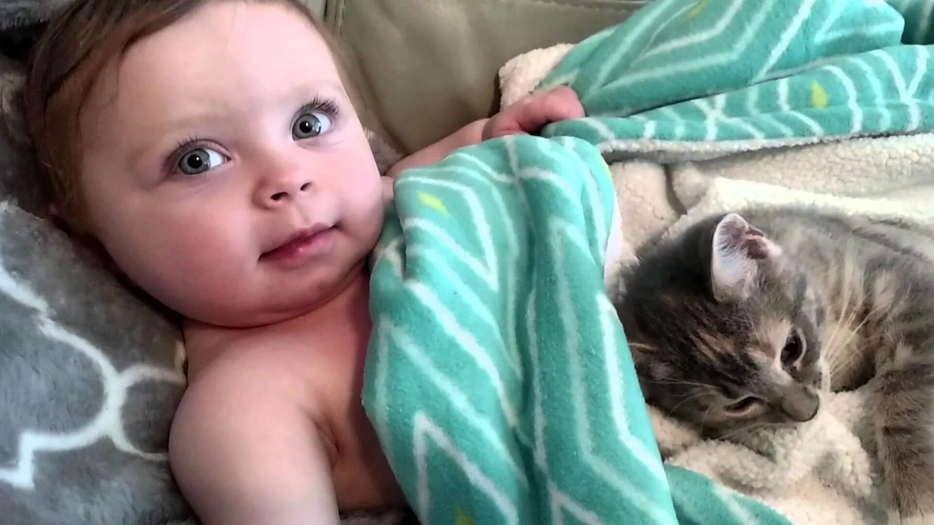 Смешные видео на свете. Самые милые малыши. Кошка для детей. Котёнок-ребёнок. Котики милота.