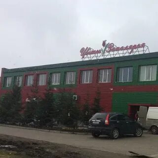 Мурманск 120