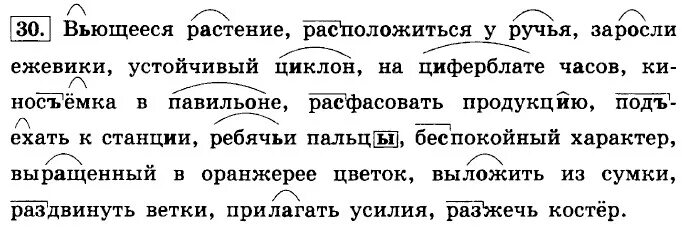 Диктант на изученные орфограммы в корне. Обозначение графически орфограммы. Графически обозначить вставленные орфограммы. Вьющееся растение расположиться у ручья. Графически обозначить орфограммы в словах.