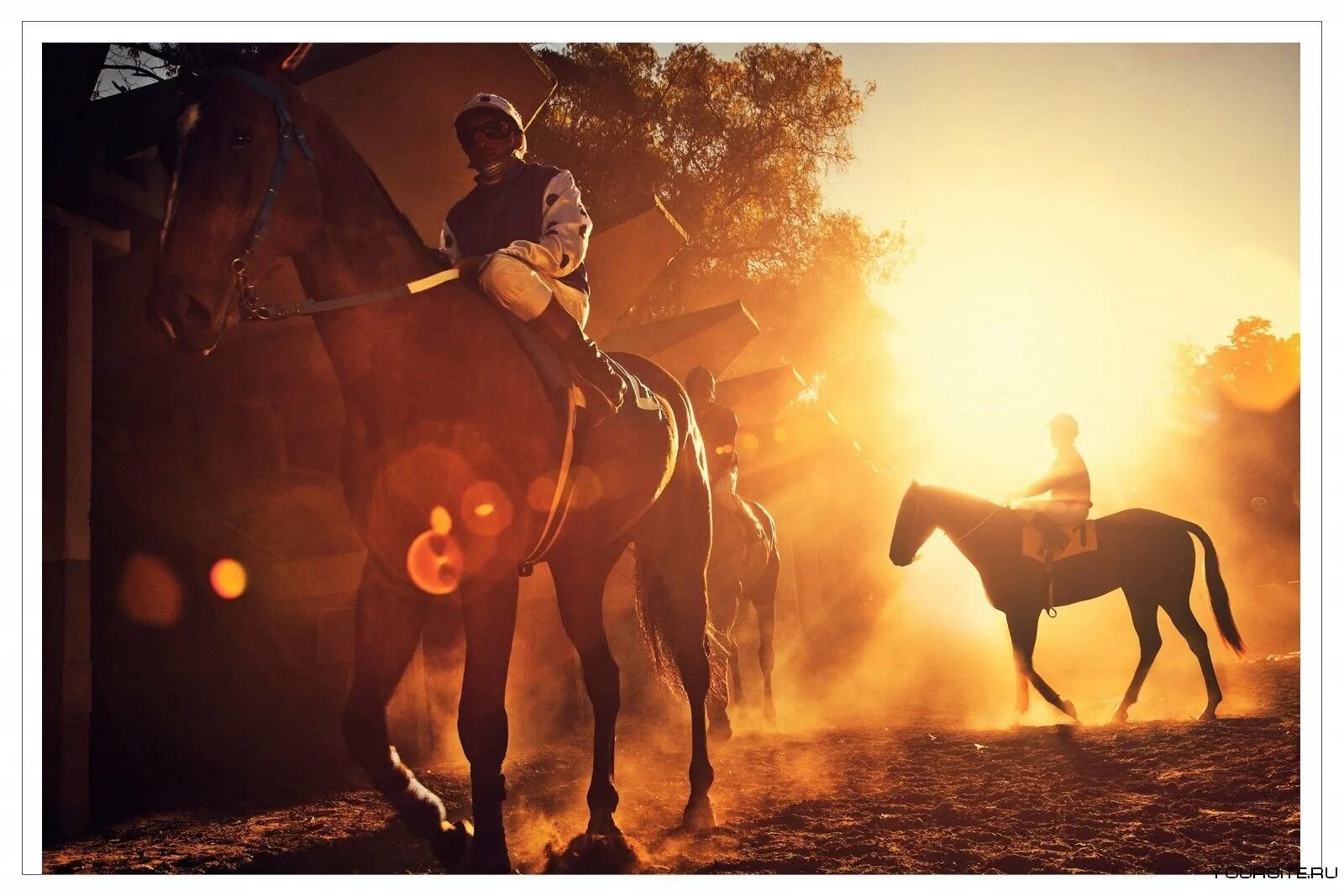 Конный спорт эстетика. Спортивное коневодство. Национальный спорт англии. Лошадь в прыжке. Жизнь скачками.