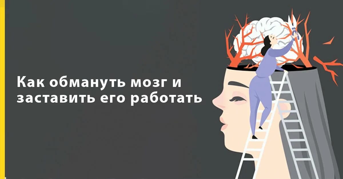 Мозг работай. Методы обмануть свой мозг. Как заставить мозги работать быстрее. Как заставить мозги работать быстрее. Как заставить мозги работать быстрее.