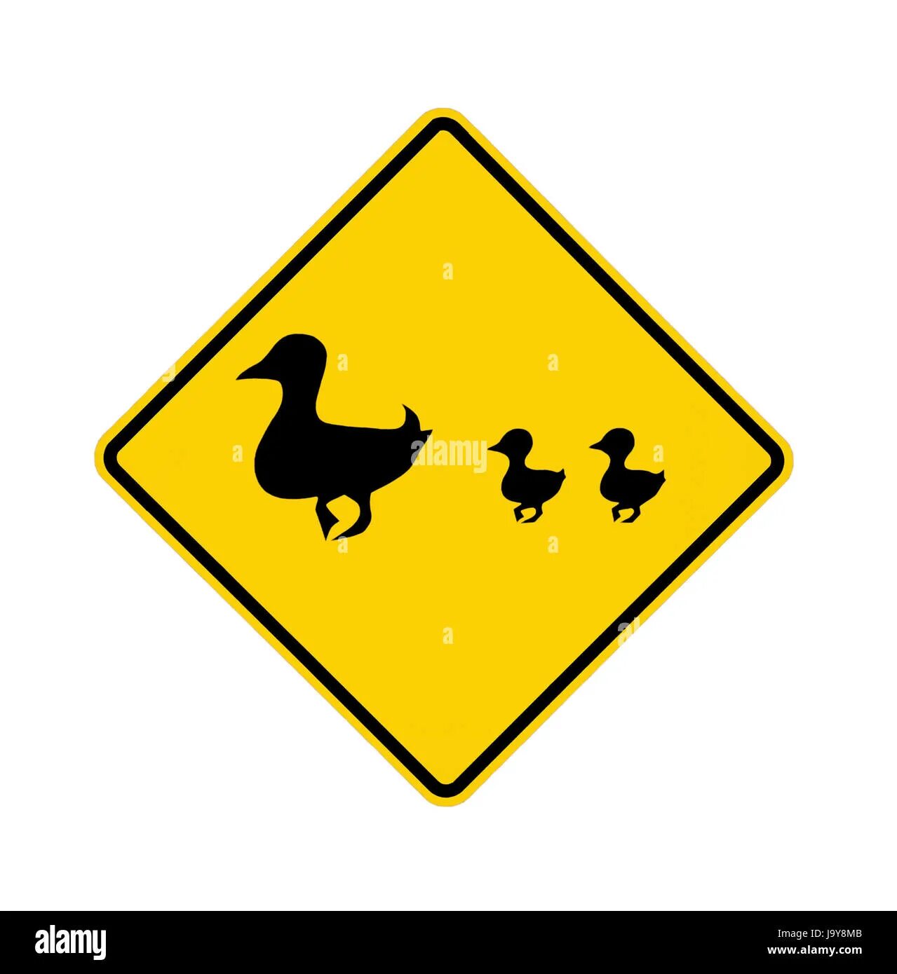 Знак с утками. Знак осторожно утки. Дорожный знак с утками. Дорожный знак утка с утятами. Дорожный знак животных утки.