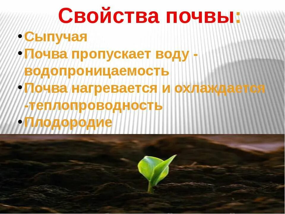 Пропустить почва. Свойства почвы. свойства почвы 3 класс. почва нагревается и охлаждается. почва и её свойства окружающий мир 3 класс.