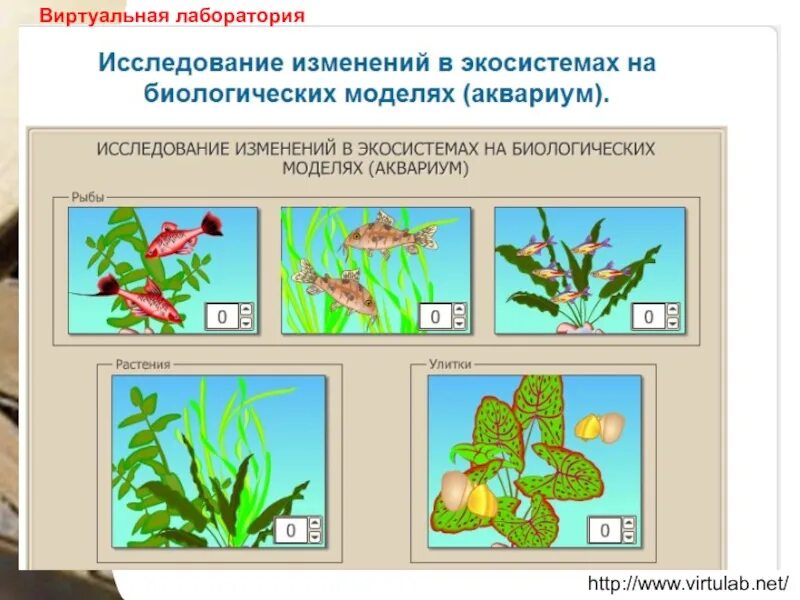 Виртуальная лаборатория по биологии. Исследование изменений в экосистемах на биологических моделях. Виртуальные лабораторные работы по биологии. Исследовательская работа по биологии.