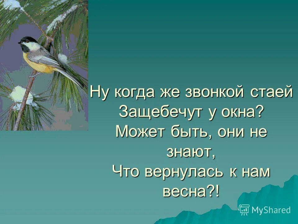 Презентация праздник птиц 1 класс школа россии. Праздник весны праздник птиц презентация 1 класс школа России. Картинка как вести себя когда встречаешь птиц.