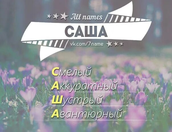 Почему назвали саша. Саша имя. Имя Саша по буквам. Красивое имя Саша. Имя Саша красиво.