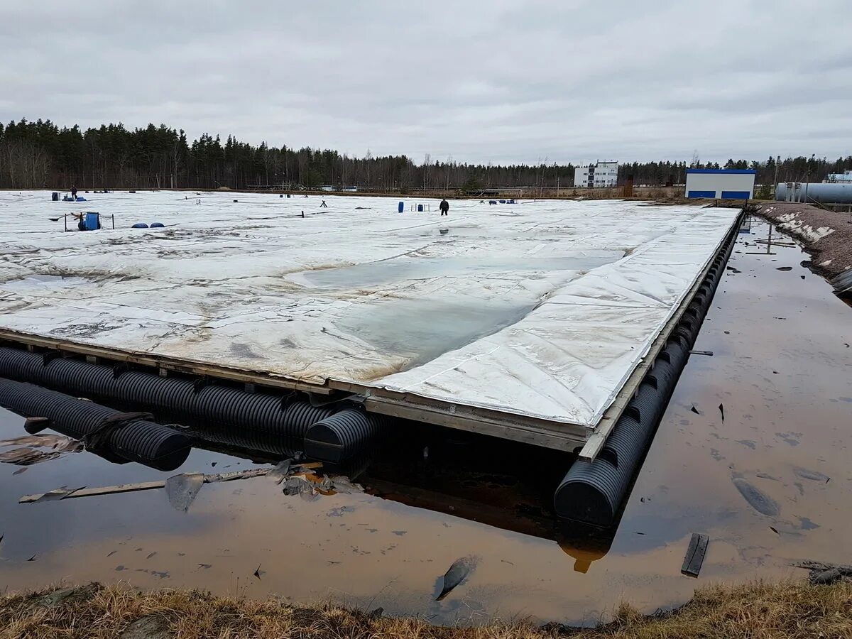 Красный бор тосненский район группа в контакте. Полигон красный Бор. Красный Бор СПБ полигон. ТБО красный Бор. Красный Бор Ленинградская область полигон отходов.