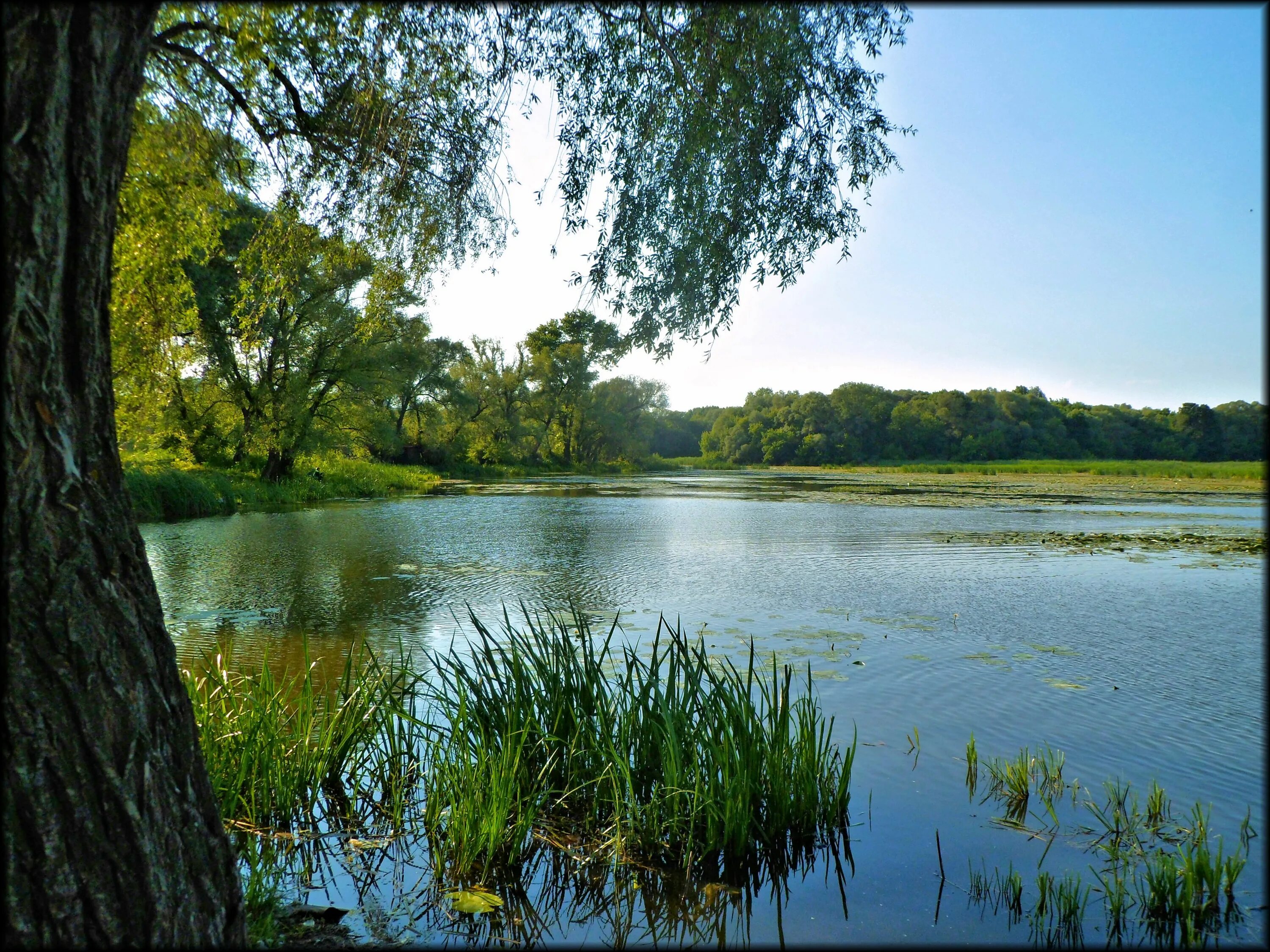 Курские водоемы