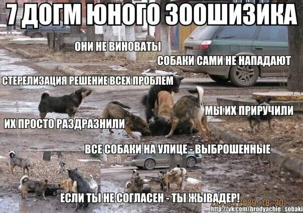 Обмен на стаю собак мем https:///internet/185536-mem-dva-polyarnyh-volka-smeyutsya-nad-tretim