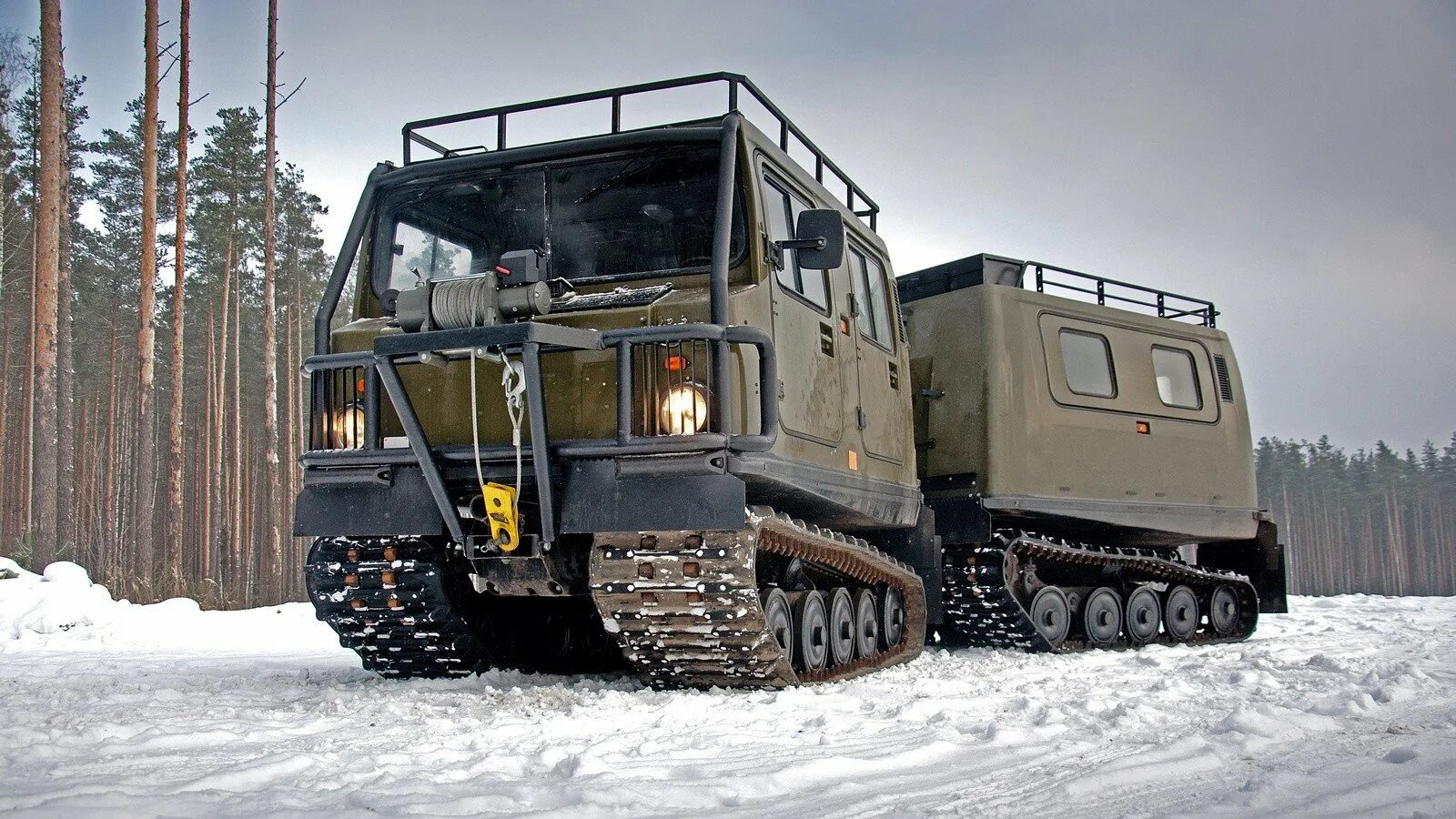 Вездеход какие. Болотоход bv-206 лось. volvo bv 206. гусеничный вездеход лось bv-206. газ-3351 двухзвенный снегоболотоход.