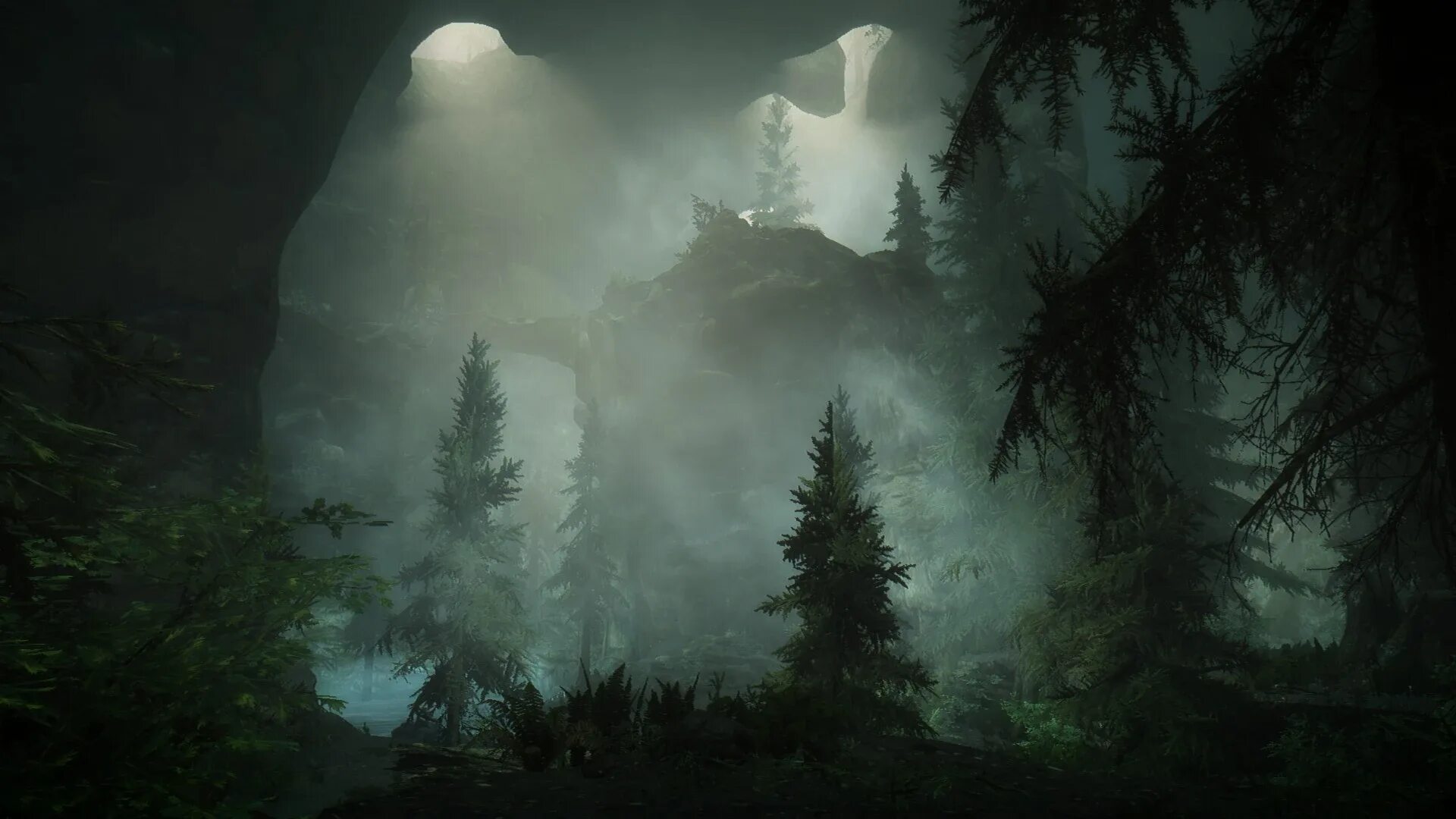 Туманная роща скайрим. Пещера зеленая тень скайрим. Мрачный лес. Темный лес. Fog the cave